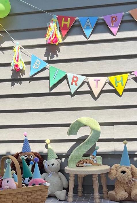 3D number birthday party decor | party animal birthday party decor | 3D letter | Personalized Number | Number 2