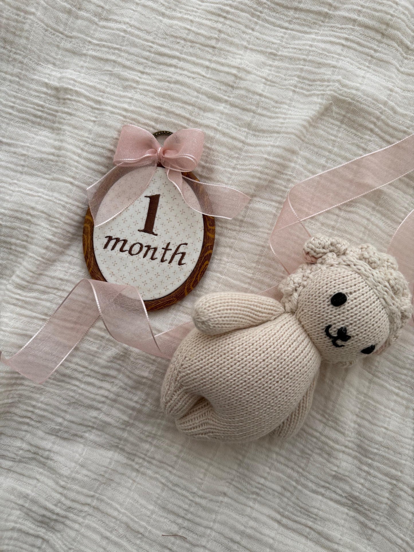 First Year Milestone Hoops | Brown Embroidered Baby Milestone Hoops | Month Sign with Bow | Monthly Photo Props with Bow | Baby Milestone