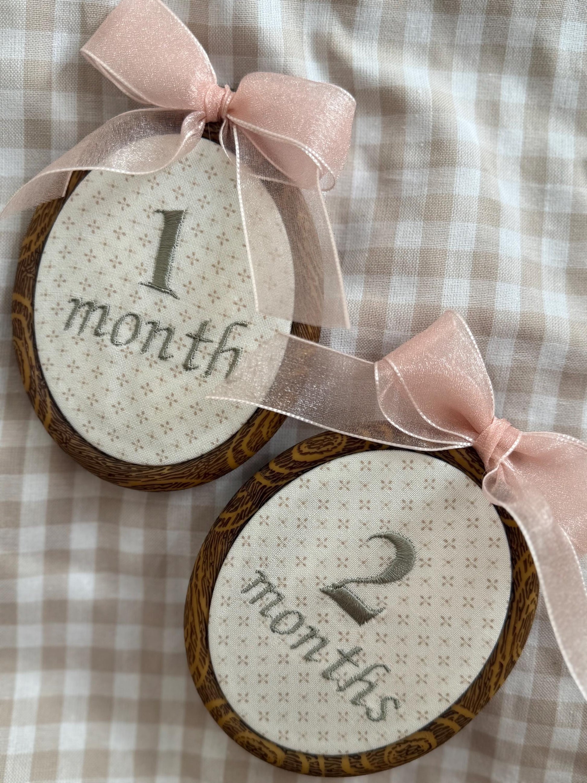 First Year Milestone Hoops | Embroidered Baby Milestone | Month Sign with Bow | Photo Props | Baby Milestone