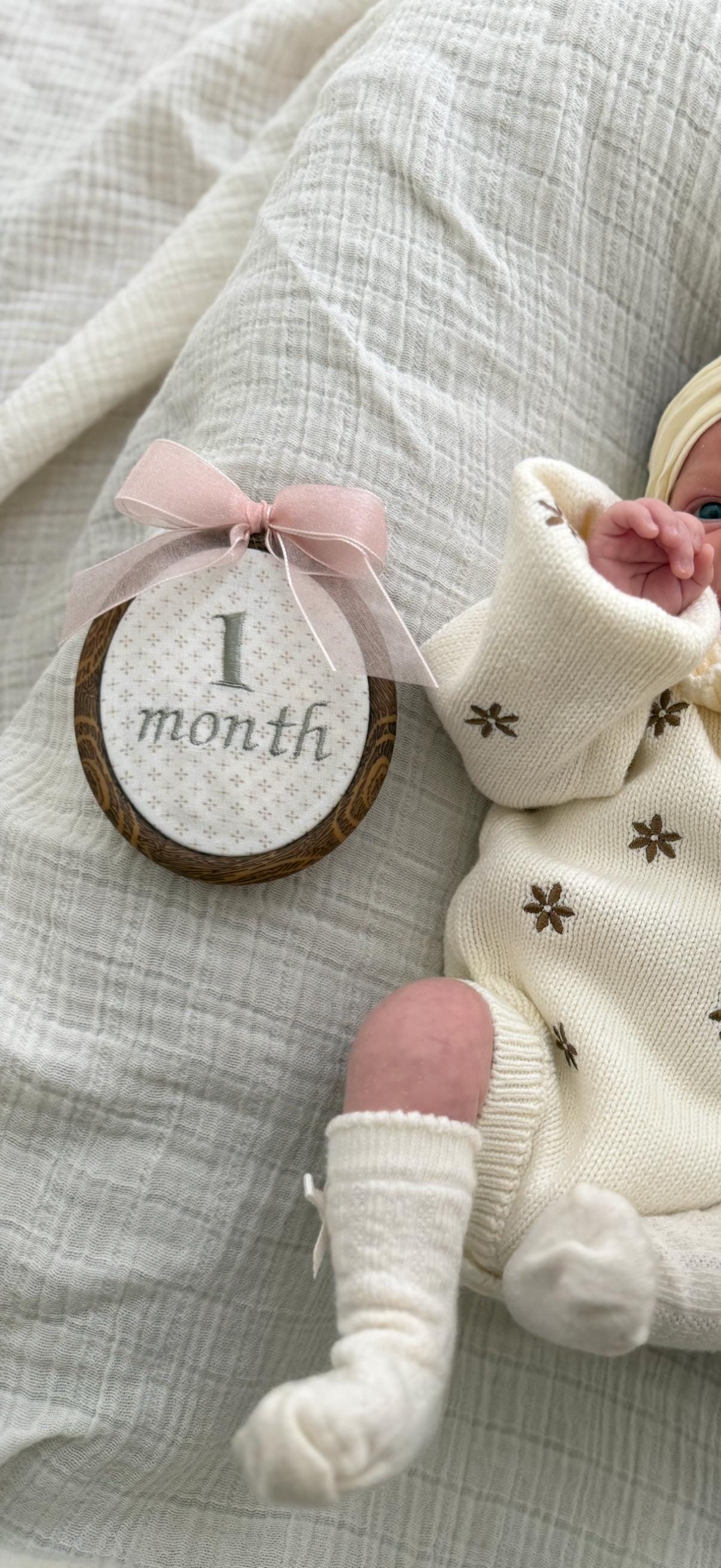 First Year Milestone Hoops | Embroidered Baby Milestone | Month Sign with Bow | Photo Props | Baby Milestone