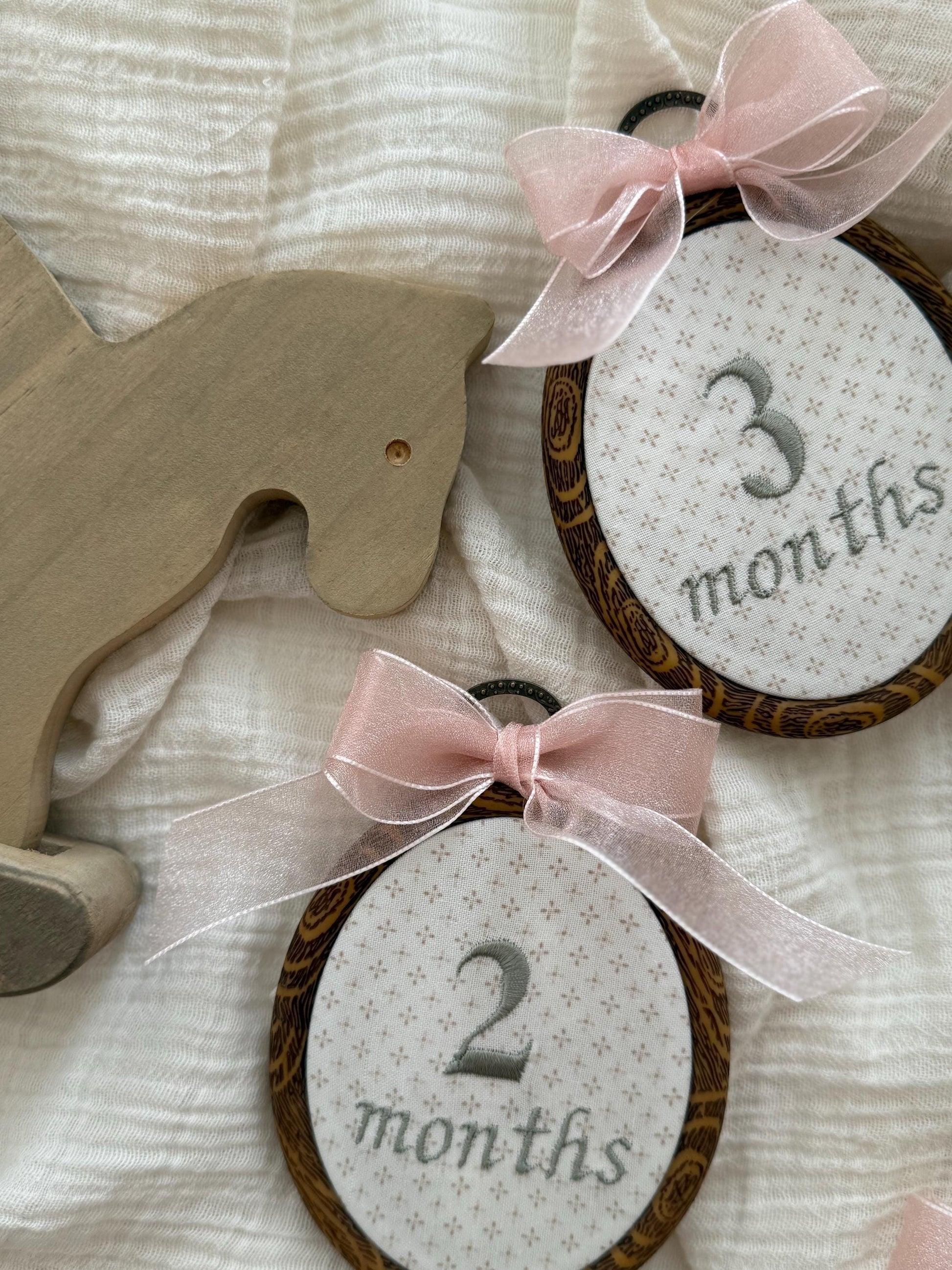 First Year Milestone Hoops | Embroidered Baby Milestone | Month Sign with Bow | Photo Props | Baby Milestone