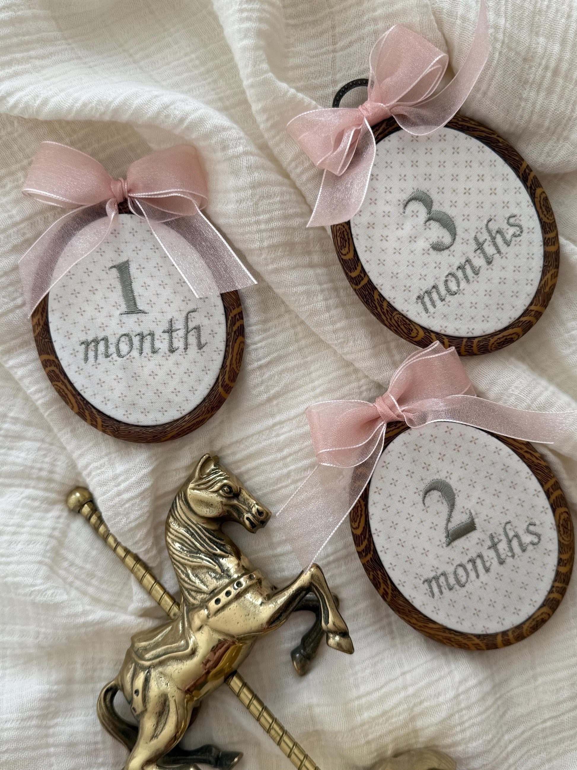 First Year Milestone Hoops with name ring | Embroidered Baby Milestone | Month Sign with Bow | Photo Props | Baby Milestone