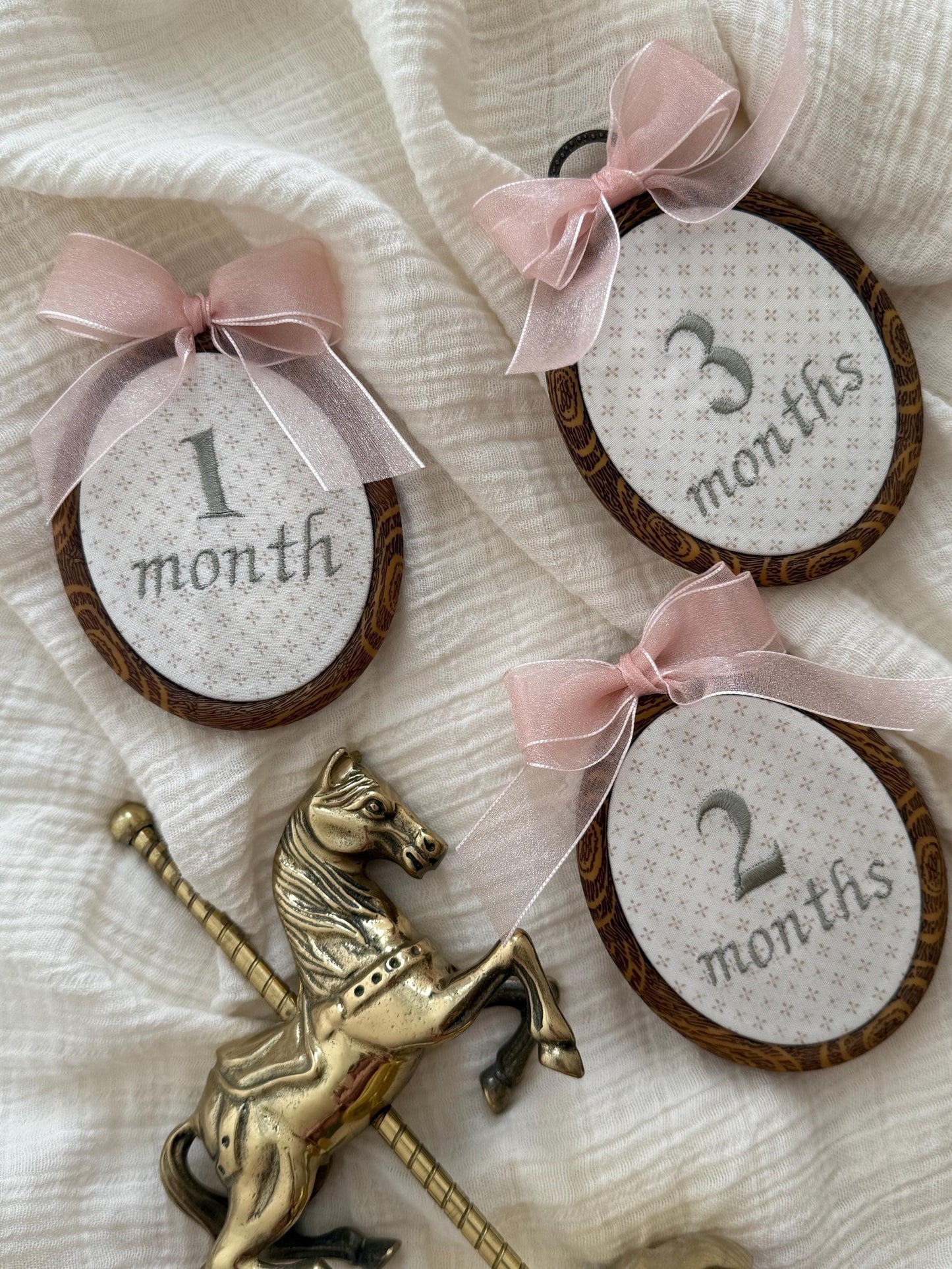 First Year Milestone Hoops | Embroidered Baby Milestone | Month Sign with Bow | Photo Props | Baby Milestone