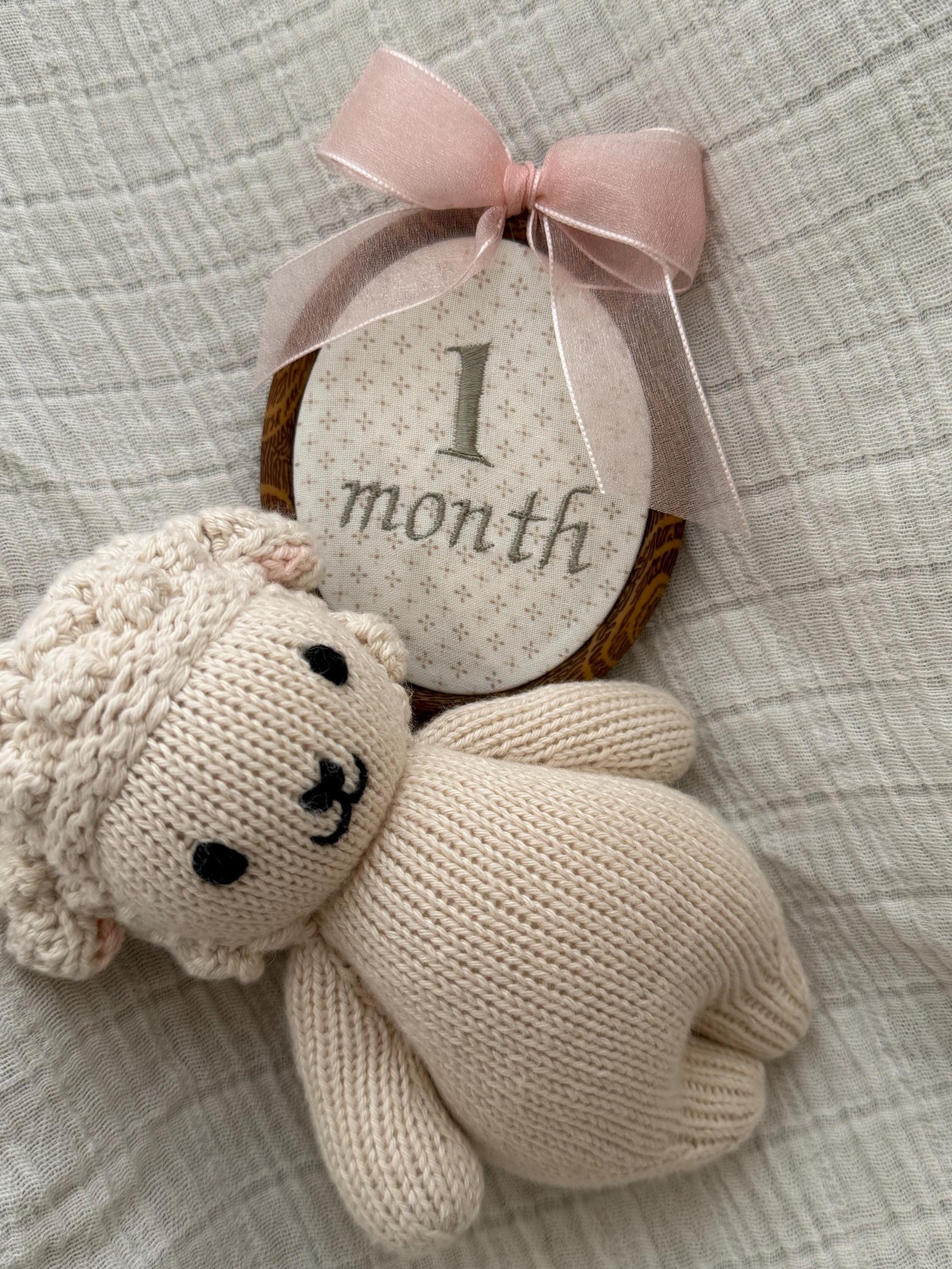 First Year Milestone Hoops | Embroidered Baby Milestone | Month Sign with Bow | Photo Props | Baby Milestone