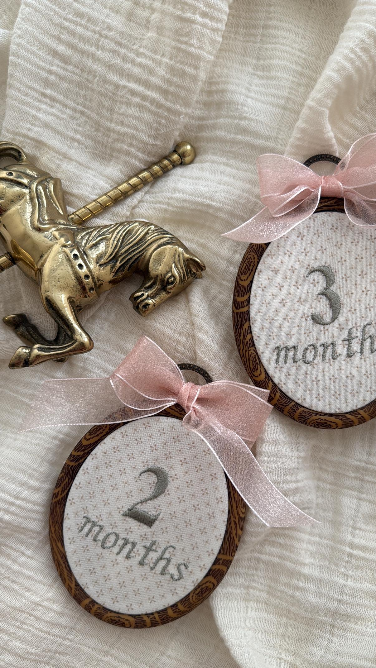 First Year Milestone Hoops | Embroidered Baby Milestone | Month Sign with Bow | Photo Props | Baby Milestone