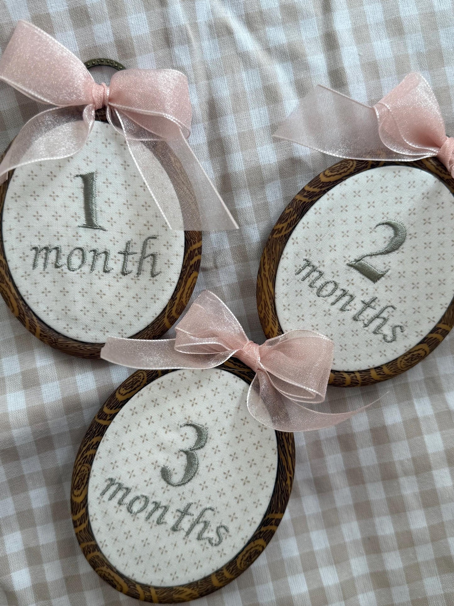 First Year Milestone Hoops with name ring | Embroidered Baby Milestone | Month Sign with Bow | Photo Props | Baby Milestone