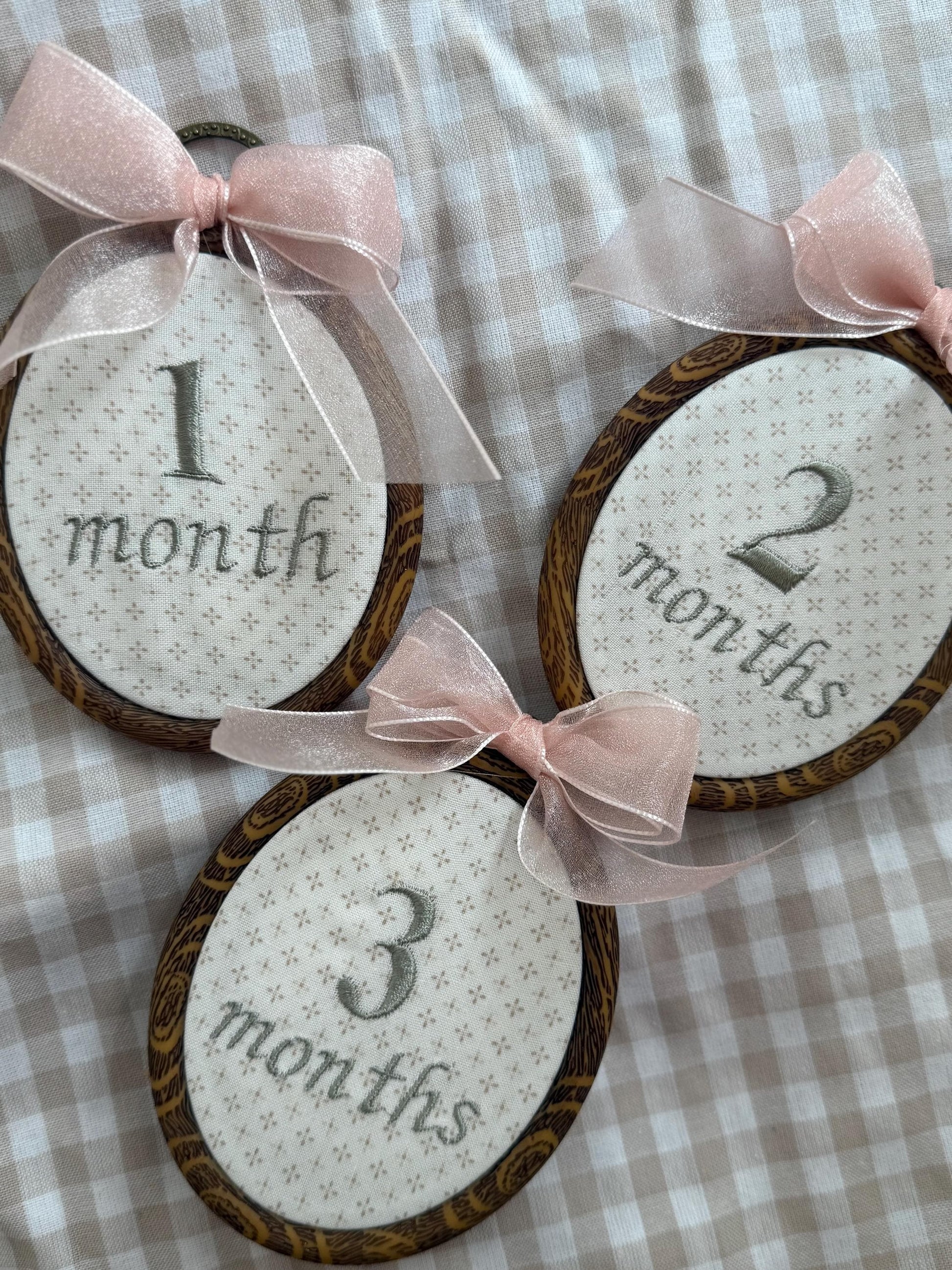 First Year Milestone Hoops | Embroidered Baby Milestone | Month Sign with Bow | Photo Props | Baby Milestone