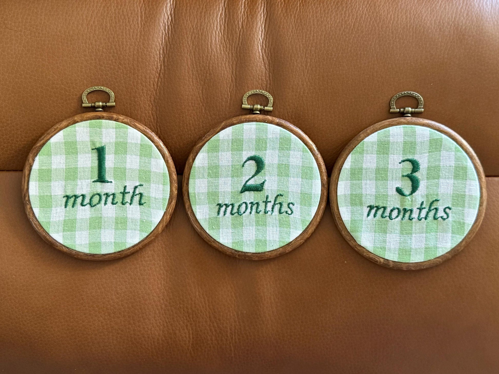 Green Gingham First Year Milestone Hoops | Embroidered Baby Milestone | Photo Props | Baby Boy Gift