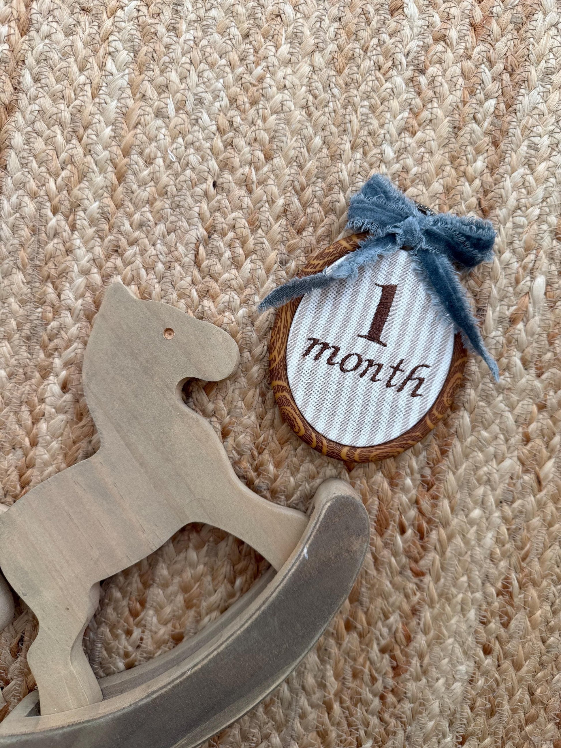 First Year Milestone Hoops | Embroidered Baby Milestone Hoops | Month Sign with Bow | Baby Milestone | Monthly Photo Props with Bow