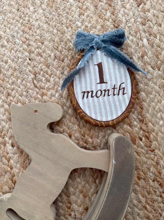 First Year Milestone Hoops | Embroidered Baby Milestone Hoops | Month Sign with Bow | Baby Milestone | Monthly Photo Props with Bow