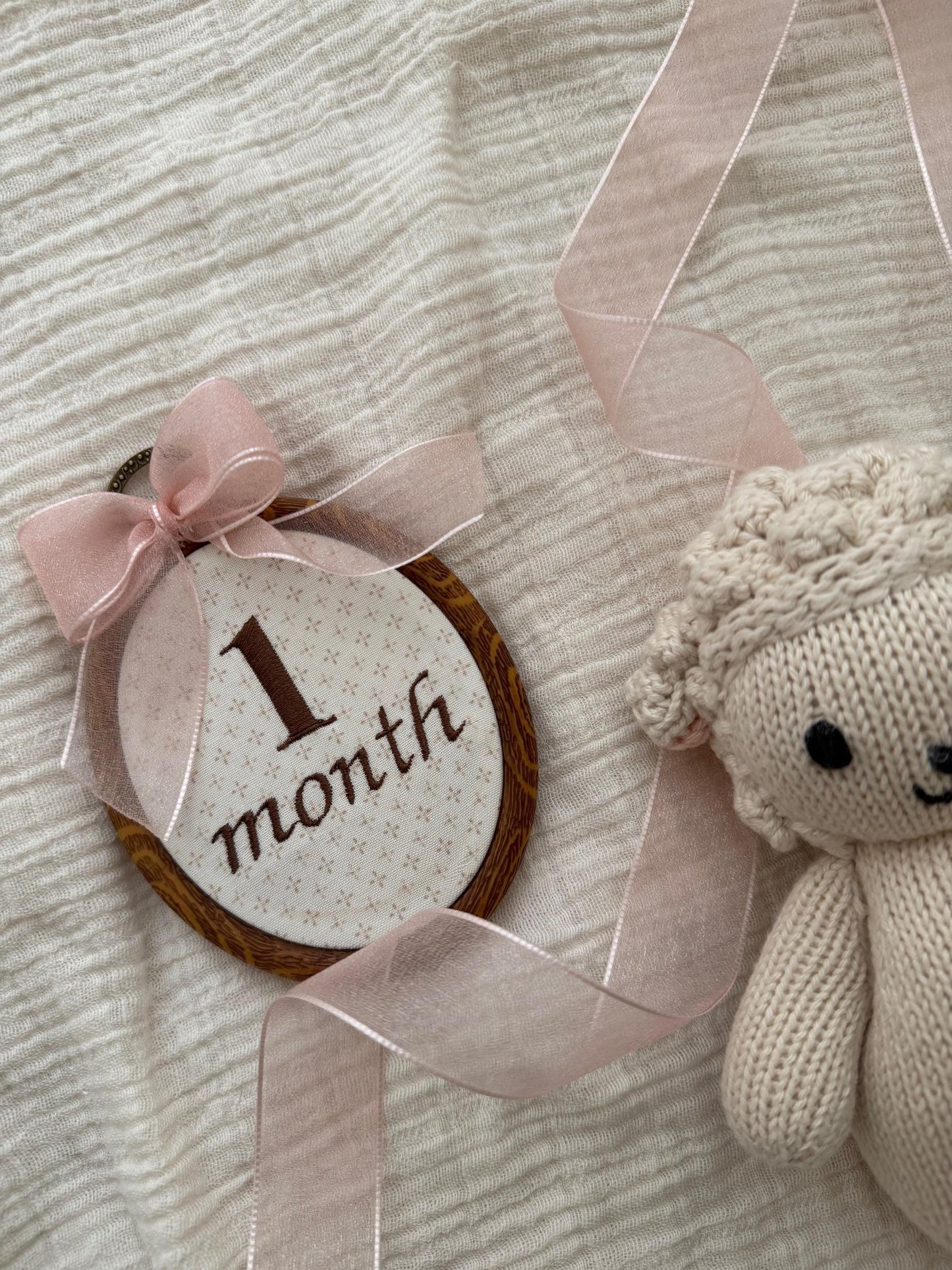 First Year Milestone Hoops | Brown Embroidered Baby Milestone Hoops | Month Sign with Bow | Monthly Photo Props with Bow | Baby Milestone