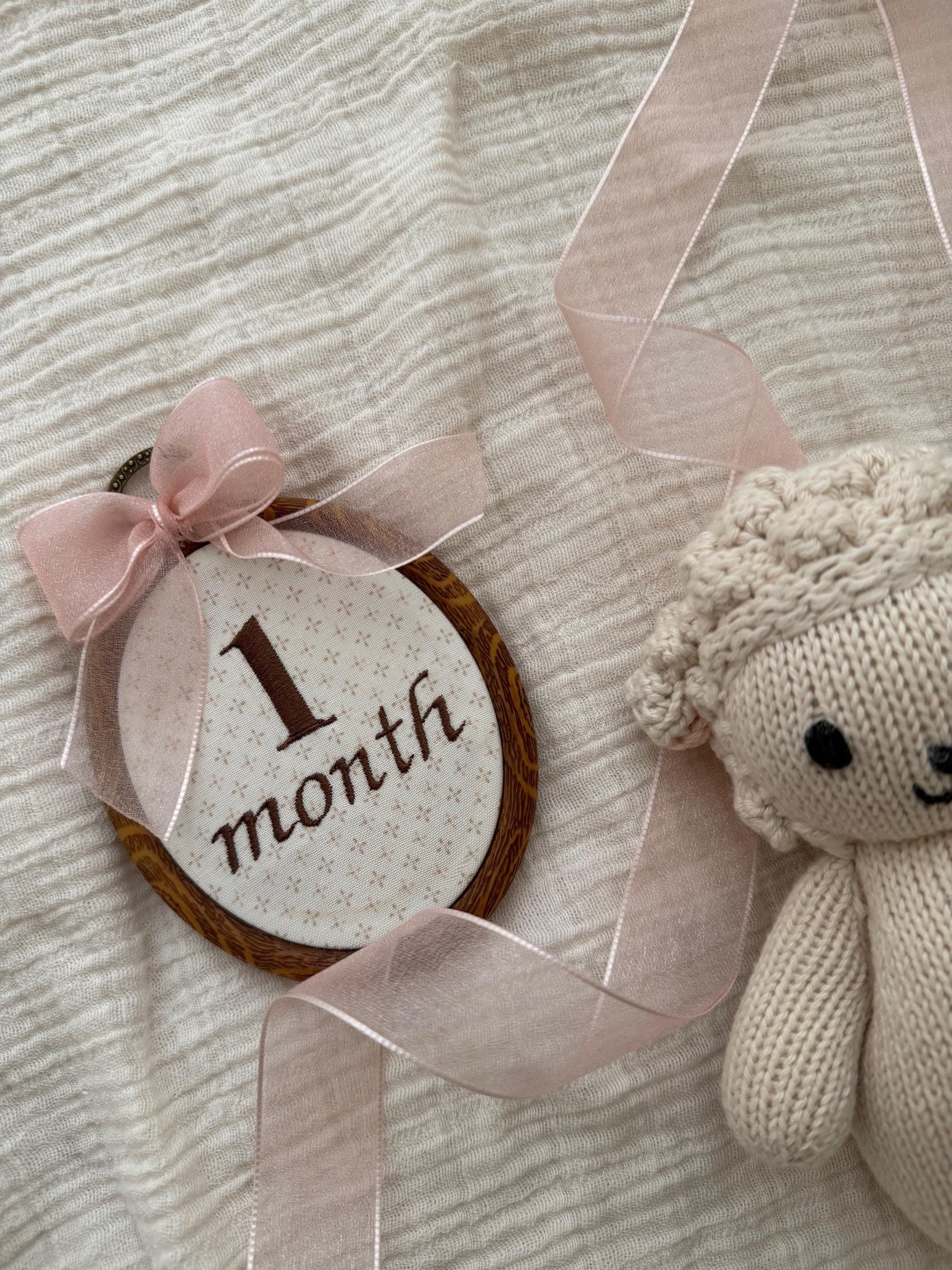 First Year Milestone Hoops | Brown Embroidered Baby Milestone Hoops | Month Sign with Bow | Monthly Photo Props with Bow | Baby Milestone
