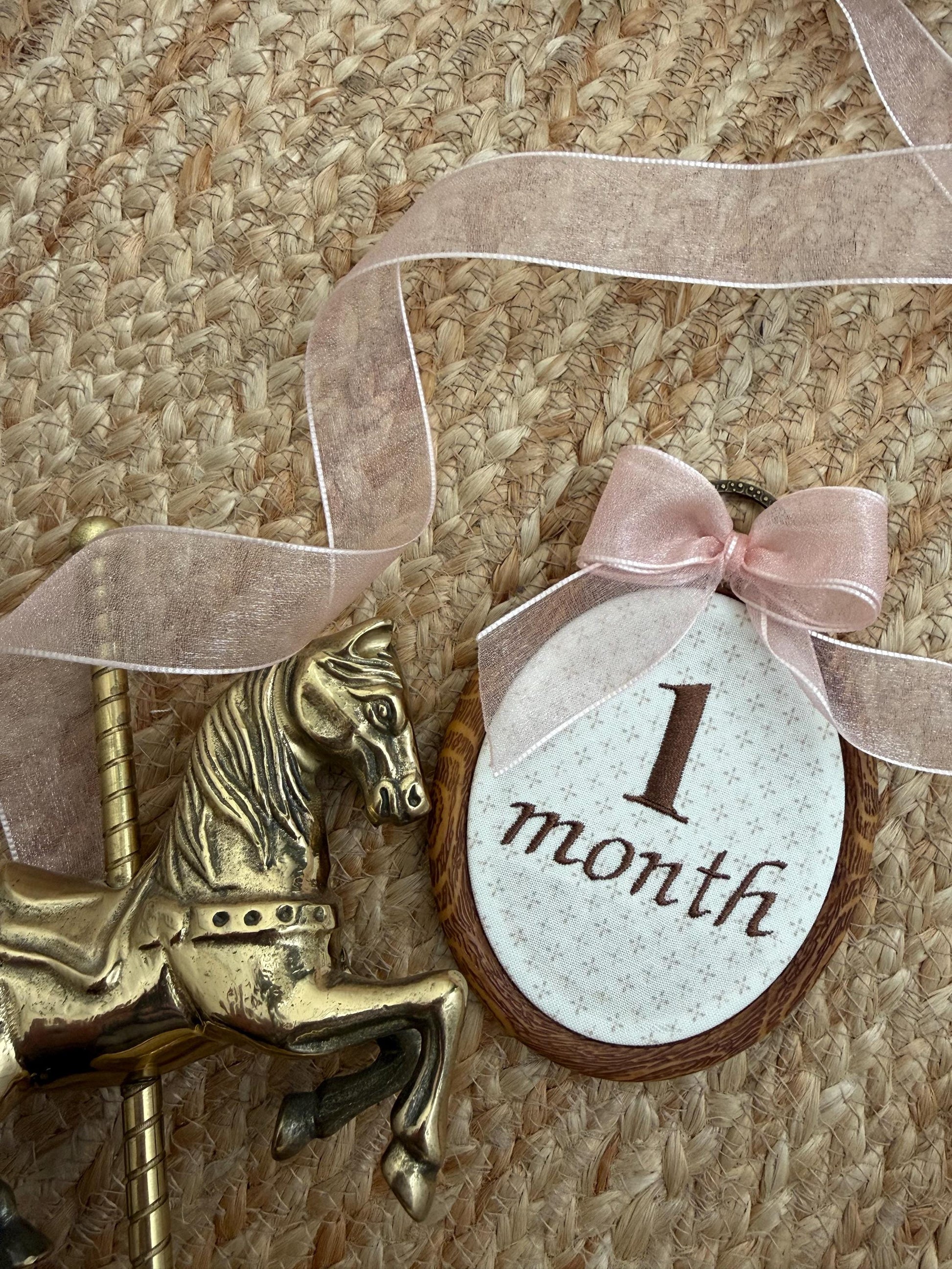 First Year Milestone Hoops | Brown Embroidered Baby Milestone Hoops | Month Sign with Bow | Monthly Photo Props with Bow | Baby Milestone