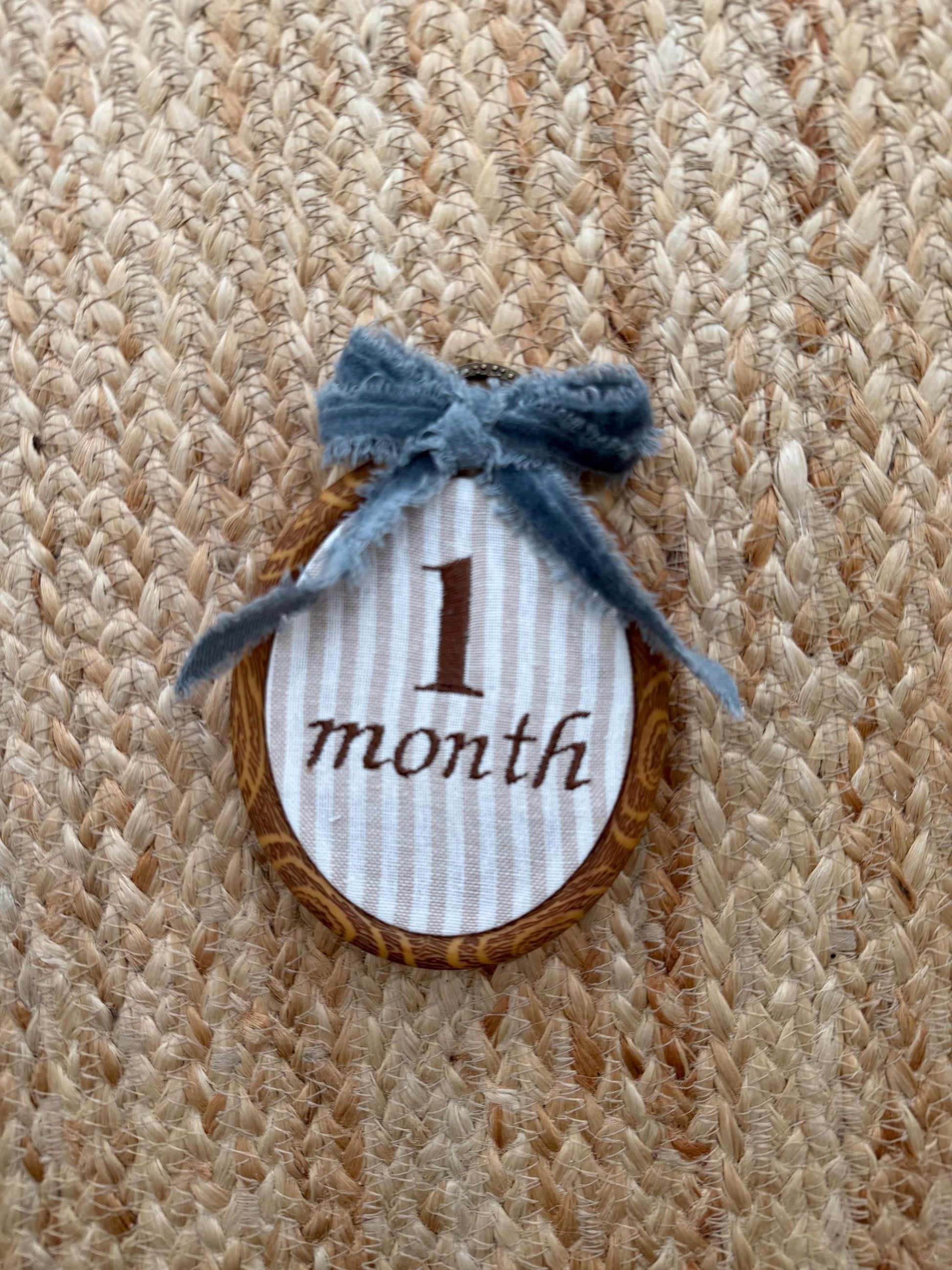 First Year Milestone Hoops | Embroidered Baby Milestone Hoops | Month Sign with Bow | Baby Milestone | Monthly Photo Props with Bow