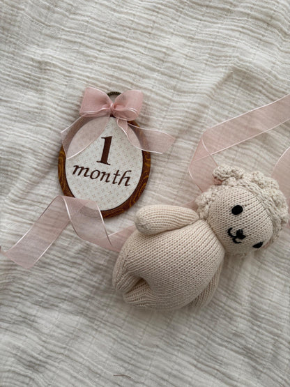 Baby milestone hoop with “1 month” embroidery and pink bow, sheer ribbon, beige bear