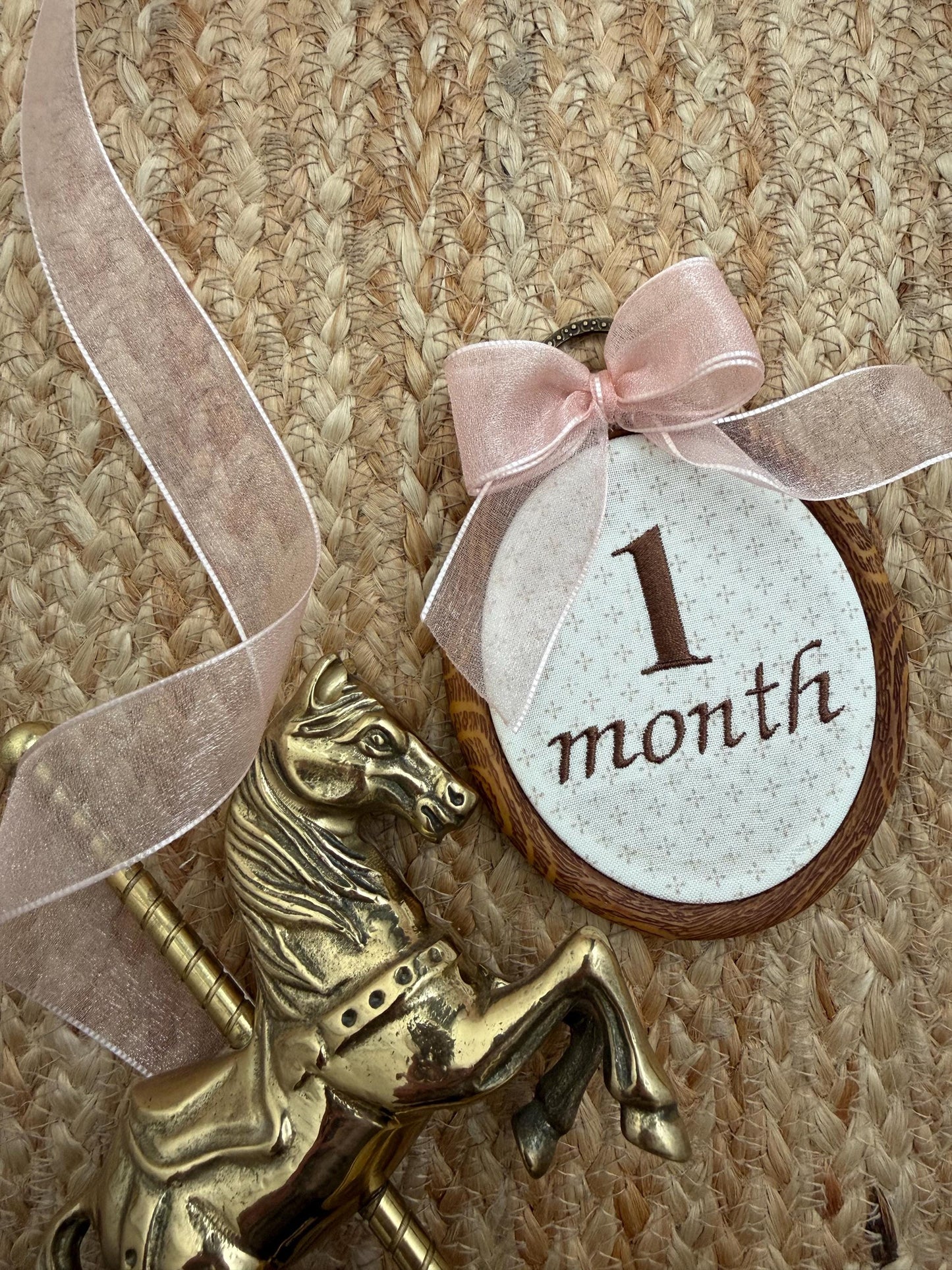 First Year Milestone Hoops | Brown Embroidered Baby Milestone Hoops | Month Sign with Bow | Monthly Photo Props with Bow | Baby Milestone