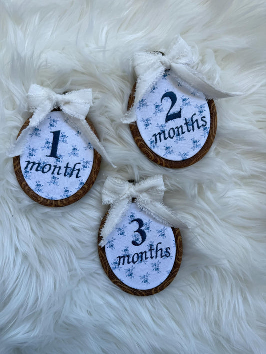 Embroidered baby monthly milestone set, blue floral oval cards with white bows