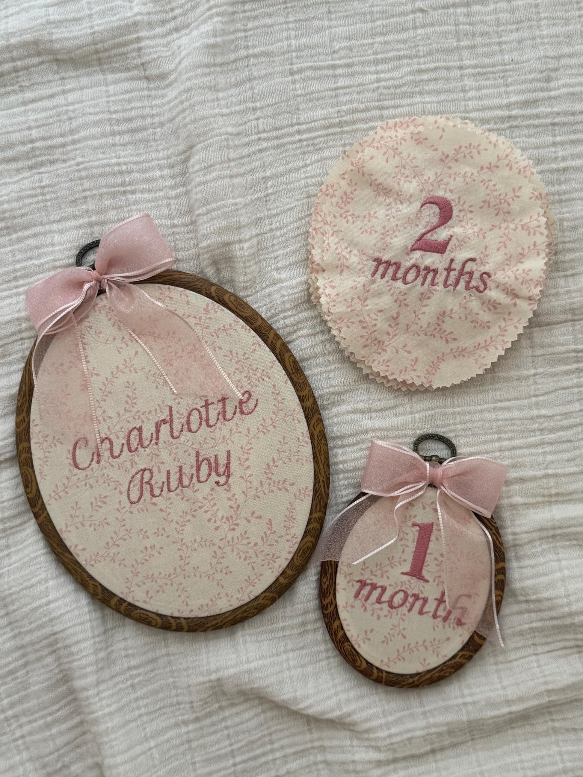 First Year Milestone Hoops | Pink Embroidered Baby Milestone Hoops | Vintage Baby | Girl Monthly Photo Props | Baby Milestone