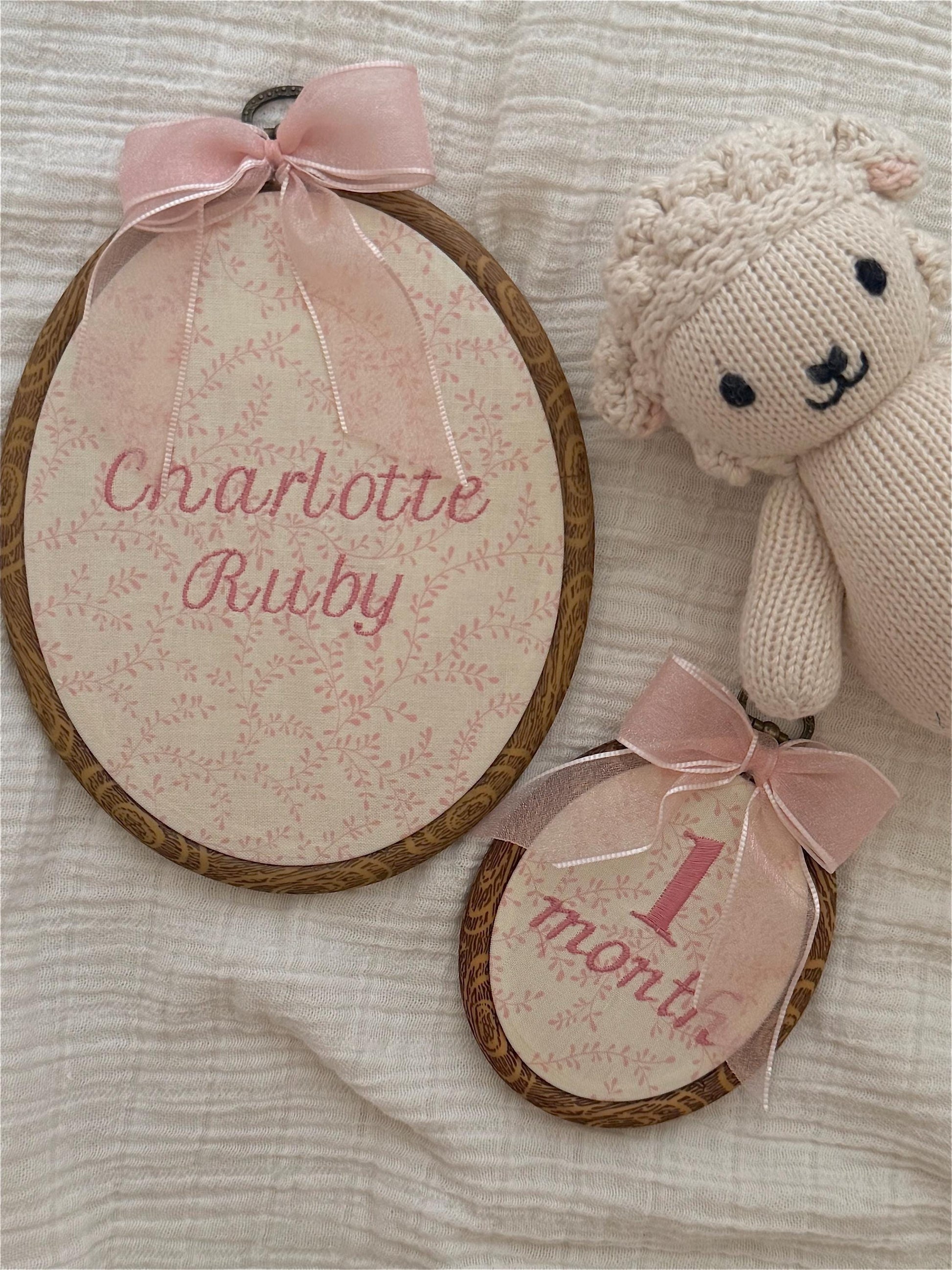 First Year Milestone Hoops | Pink Embroidered Baby Milestone Hoops | Vintage Baby | Girl Monthly Photo Props | Baby Milestone