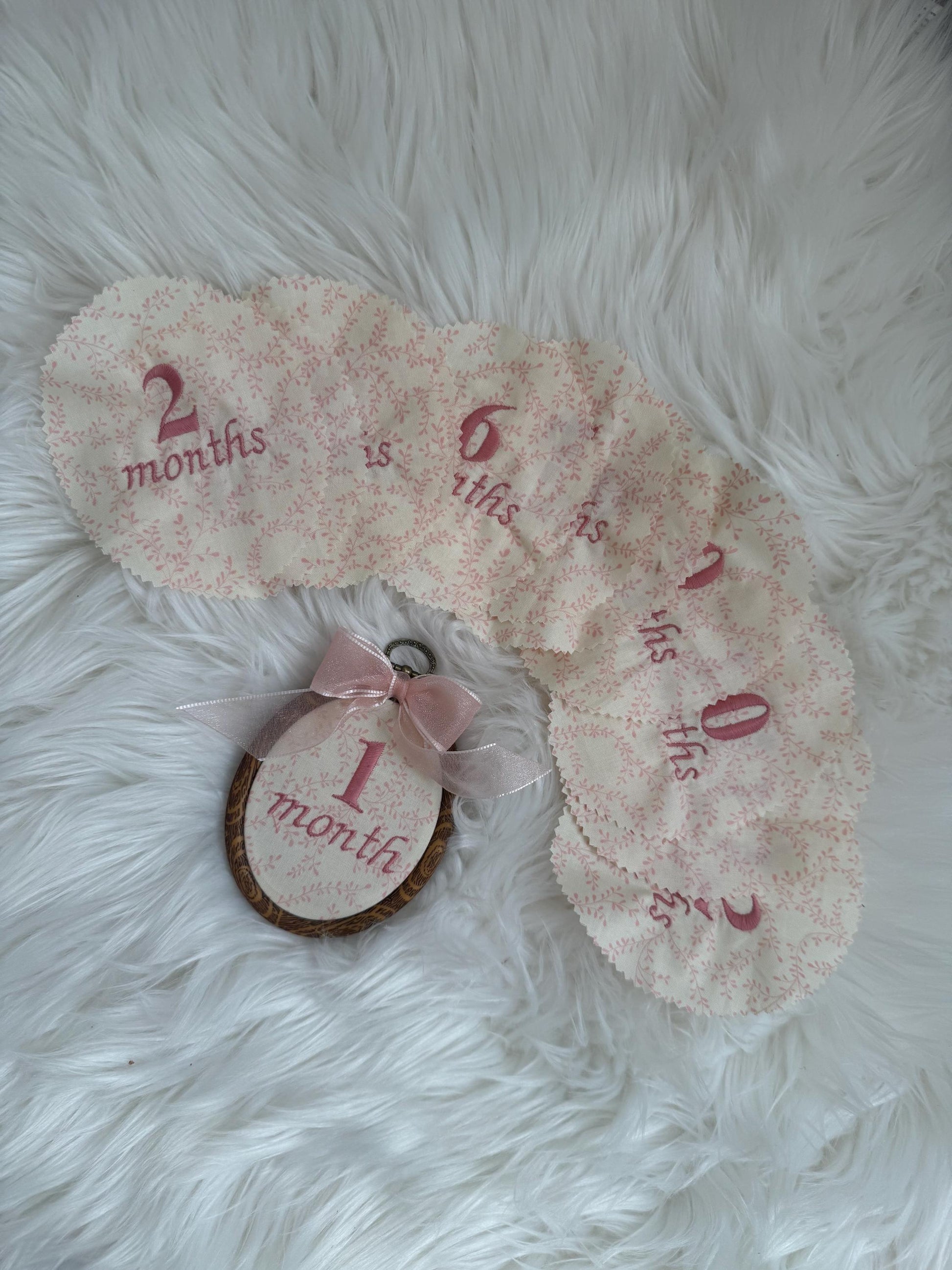 First Year Milestone Hoops | Pink Embroidered Baby Milestone Hoops | Vintage Baby | Girl Monthly Photo Props | Baby Milestone
