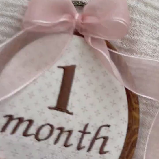 First Year Milestone Hoops | Brown Embroidered Baby Milestone Hoops | Month Sign with Bow | Monthly Photo Props with Bow | Baby Milestone