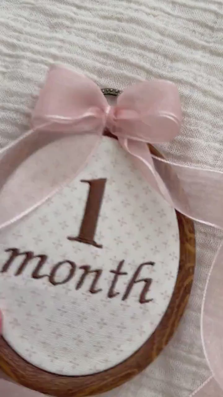 First Year Milestone Hoops | Brown Embroidered Baby Milestone Hoops | Month Sign with Bow | Monthly Photo Props with Bow | Baby Milestone