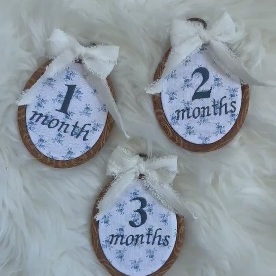 Baby’s First Year | Baby Monthly Milestones | Embroidered Baby Milestone | Blue Floral Month Sign with Bow | Photo Props | Baby Milestone