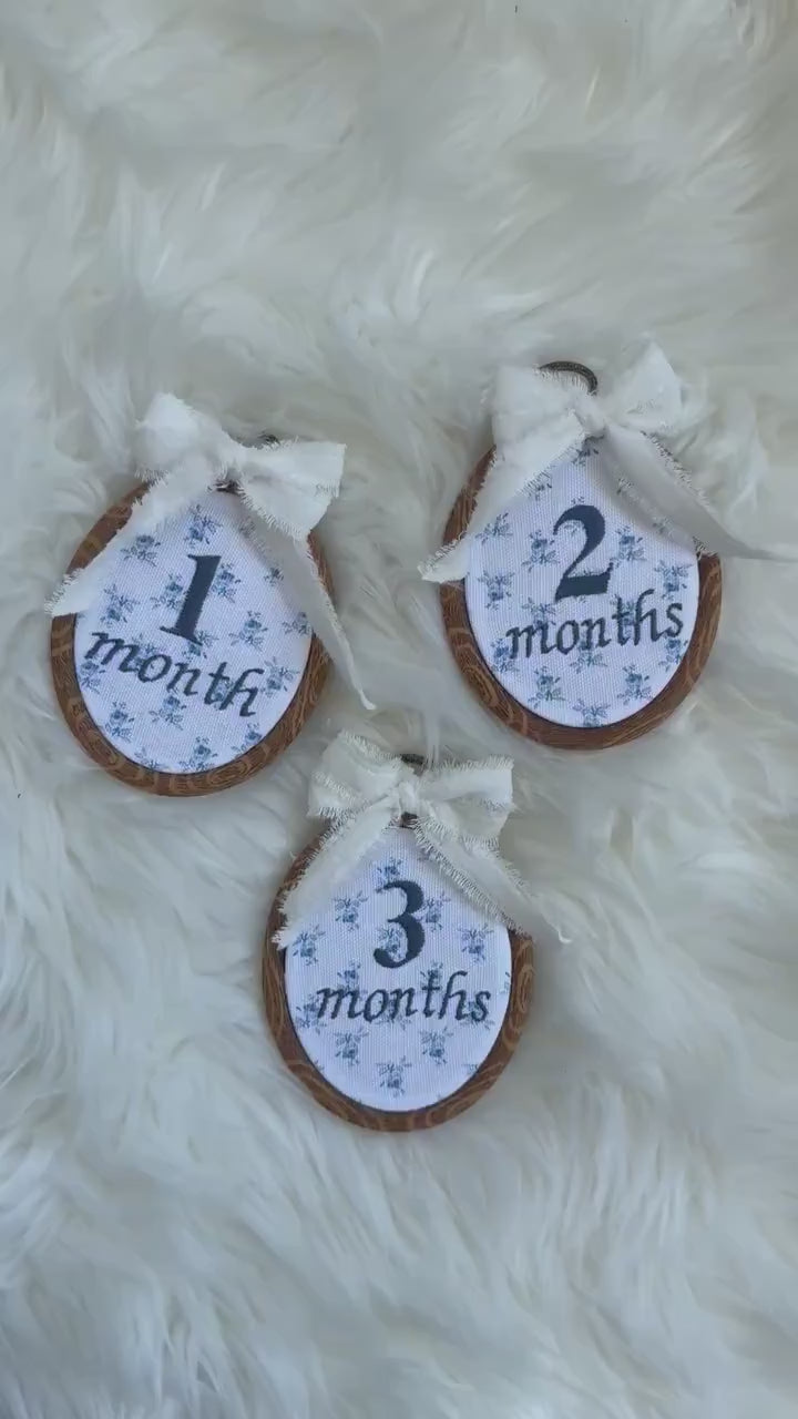 Baby’s First Year | Baby Monthly Milestones | Embroidered Baby Milestone | Blue Floral Month Sign with Bow | Photo Props | Baby Milestone