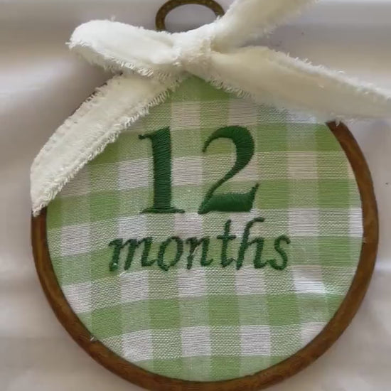Green Gingham First Year Milestone Hoops | Embroidered Baby Milestone | Photo Props | Baby Girl Gift