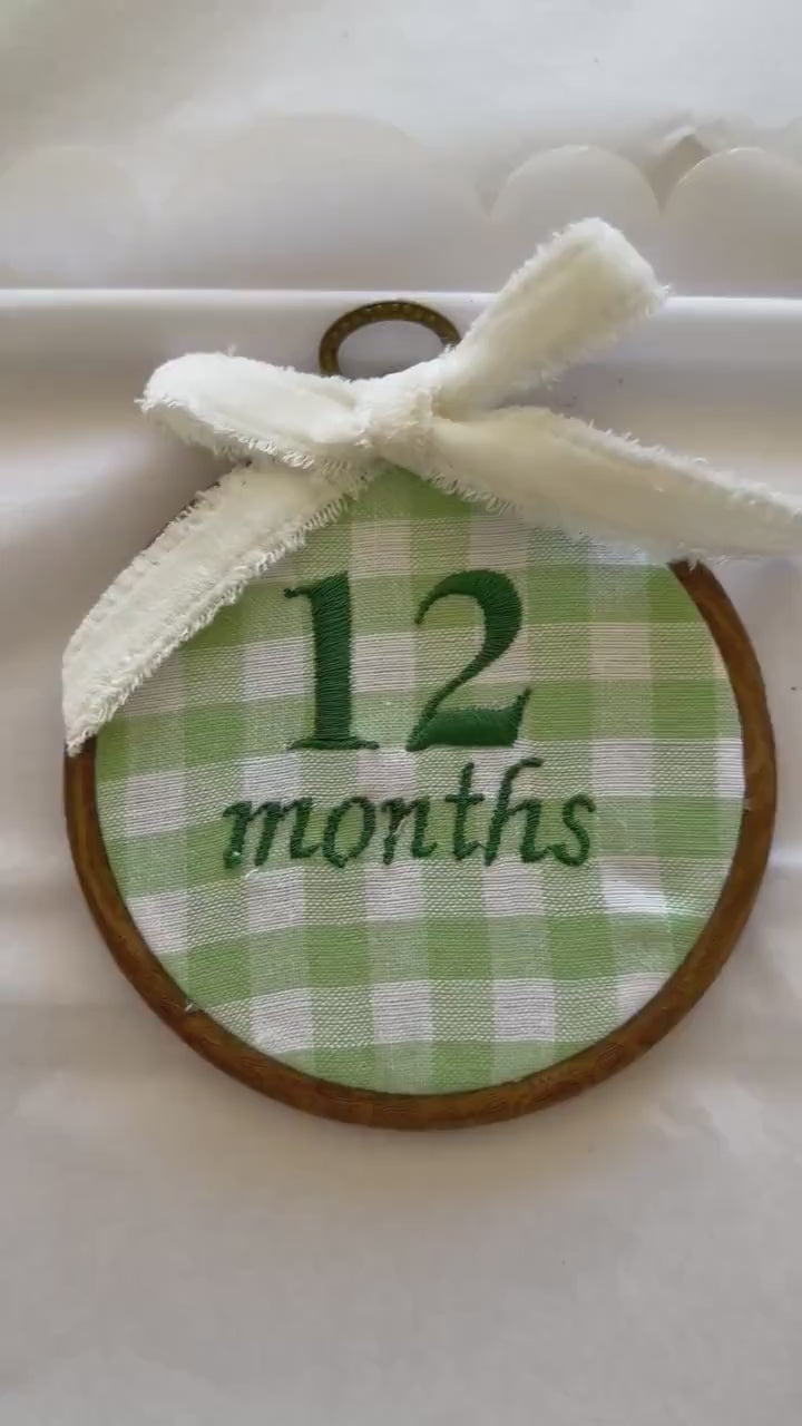 Green Gingham First Year Milestone Hoops | Embroidered Baby Milestone | Photo Props | Baby Girl Gift