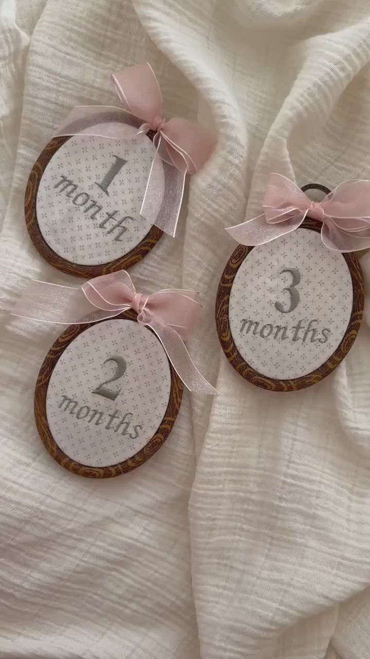First Year Milestone Hoops with name ring | Embroidered Baby Milestone | Month Sign with Bow | Photo Props | Baby Milestone