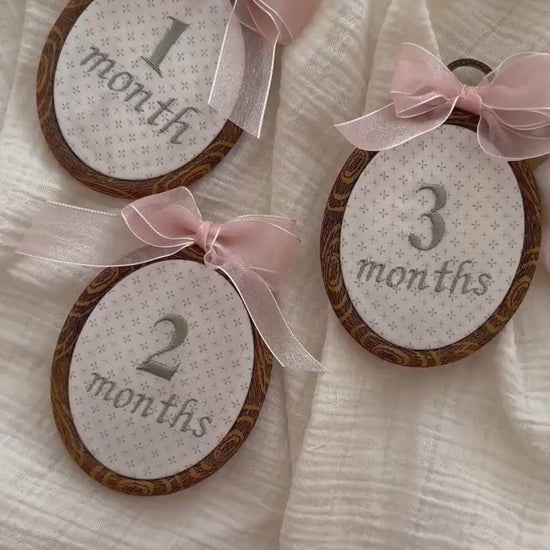 First Year Milestone Hoops | Embroidered Baby Milestone | Month Sign with Bow | Photo Props | Baby Milestone