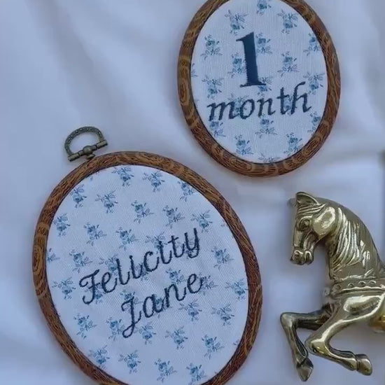Name and First Year Milestone Hoop Set | Baby Name Announcment Sign | Newborn Photo Props | Pregnancy Announcement