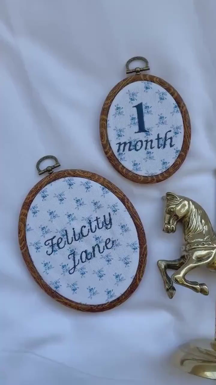 Name and First Year Milestone Hoop Set | Baby Name Announcment Sign | Newborn Photo Props | Pregnancy Announcement
